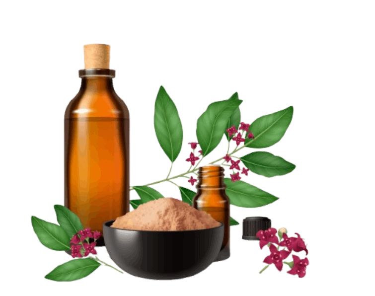 ayurveda products
